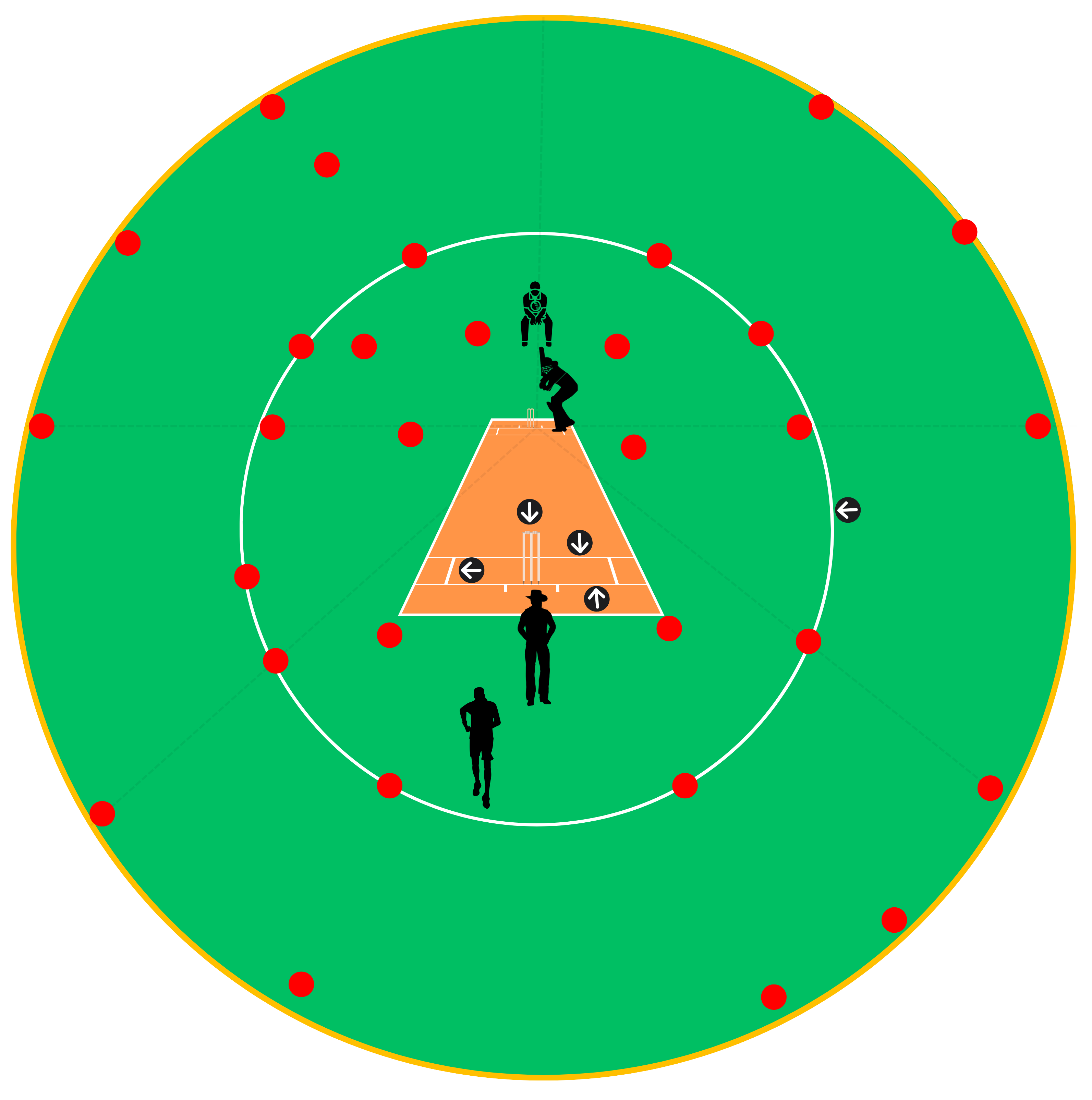 Cricket Field and Positions